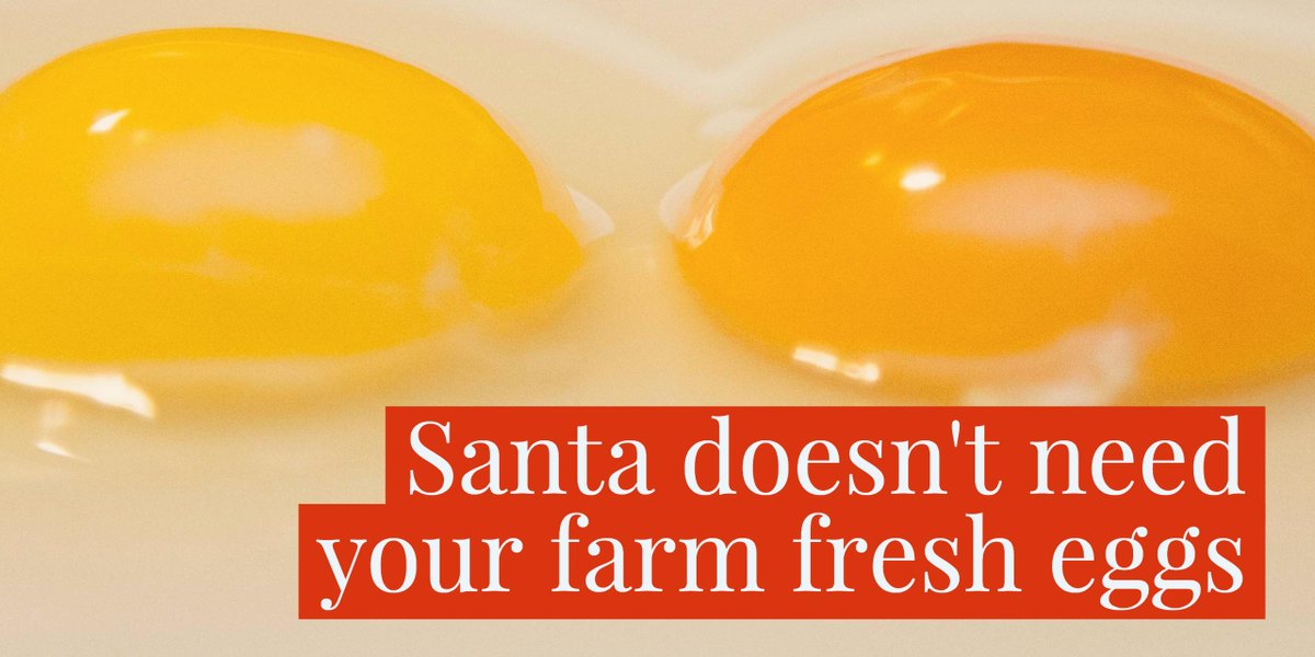 CarlChickens's tweet photo. Using #FarmFresh eggs for #Santa's cookies?  Probably not worth the money. https://t.co/VW6oVv8v61 https://t.co/E7RA9RqVsr