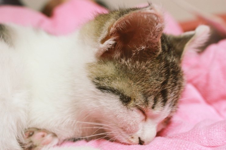 월요일 아침을 맞는 
우리들의 자세~^^
엄마 10분만...