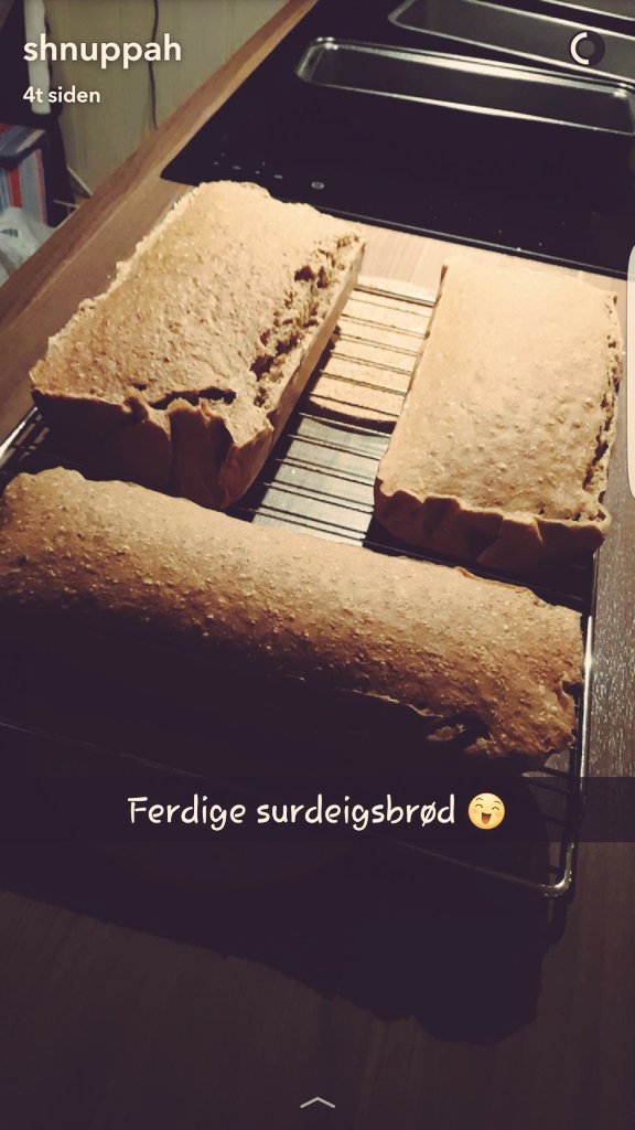shnuppah's tweet photo. Første runde med surdeigsbakst, og kan ikke si meg annet enn meget fornøyd 😄 #sunnesaker #godtarmhelse #næringforkroppen #gladkropp https://t.co/SVXuHmPth9