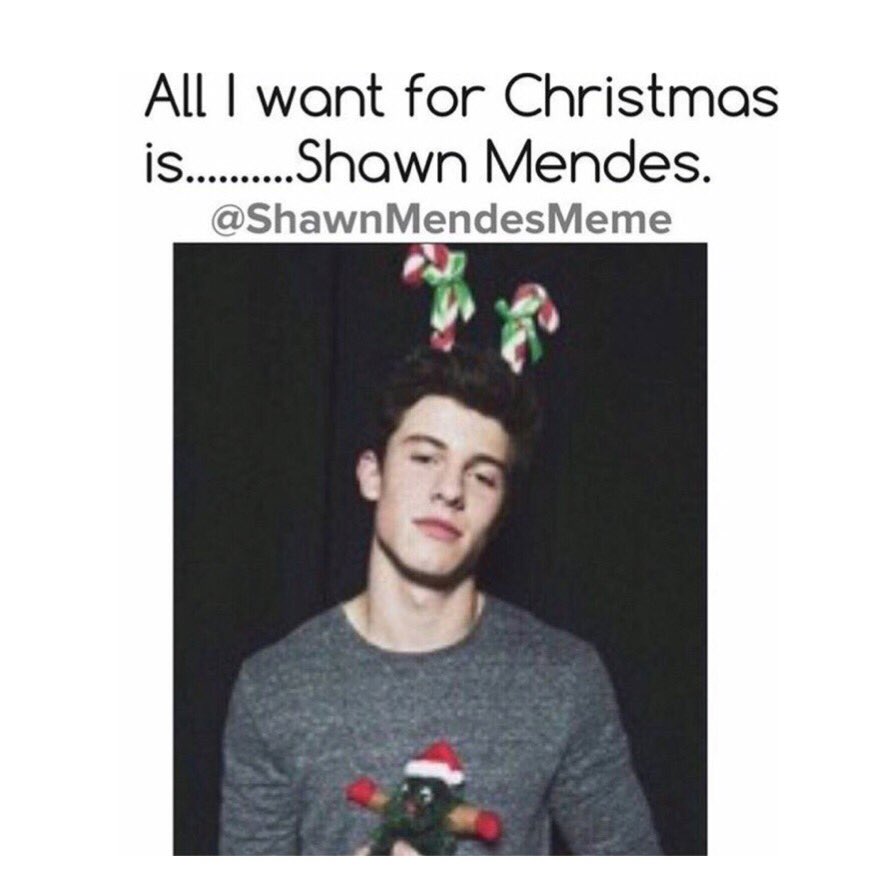ShawnMendesMeme's tweet photo. All I want for Christmas is.....Shawn Mendes https://t.co/XcQbBEmBel