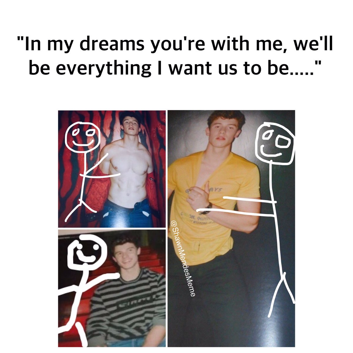 ShawnMendesMeme's tweet photo. Shawn Mendes #mendesarmy #memes #ShawnONSNL https://t.co/PlLt0rz2kk
