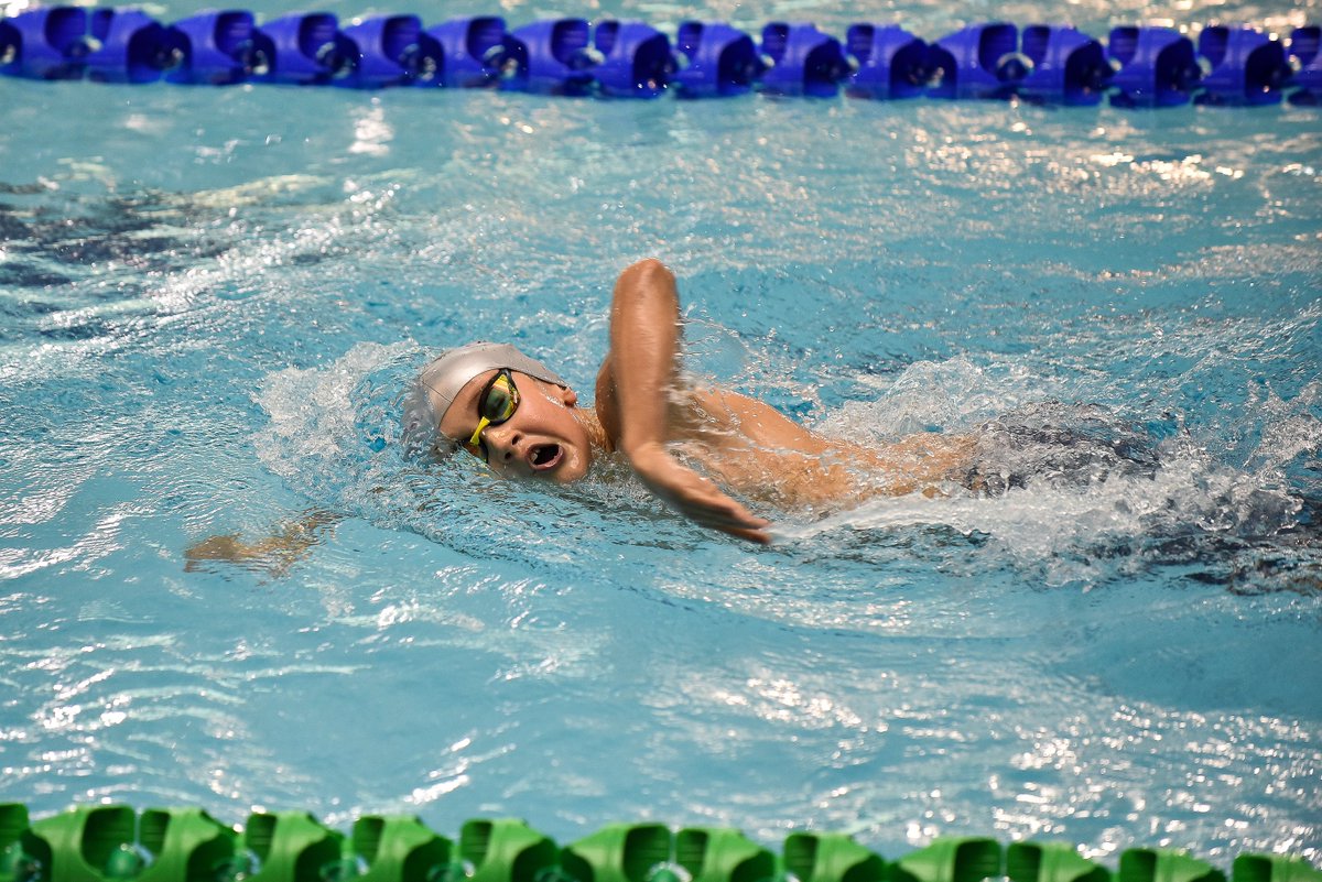PaulMcRae5's tweet photo. @celticdolphins @SwimWales #SWSC16 A Celtic Dolphin in the welsh winter short course https://t.co/EbqIXM2Yck
