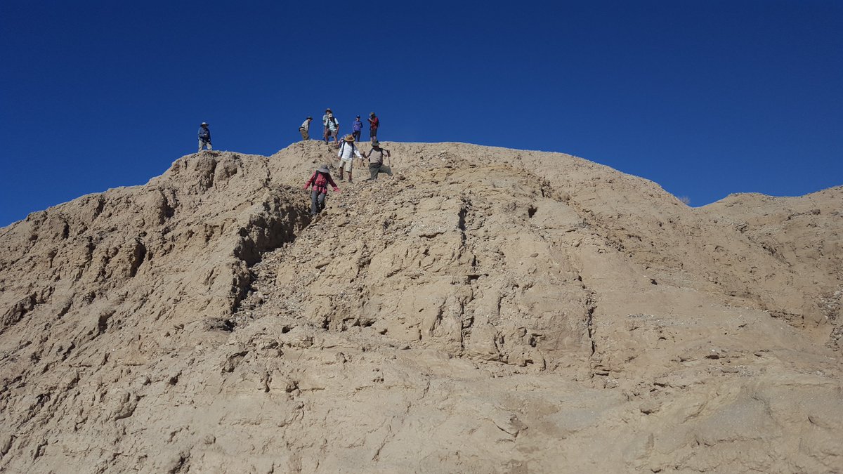 BorregoHiking's tweet photo. One of my hikes for #ABDNHA this Sunday.
The #Borrego #Badlands at it's best.
https://t.co/TcYgHg50VE https://t.co/vCnKMEXCMU
