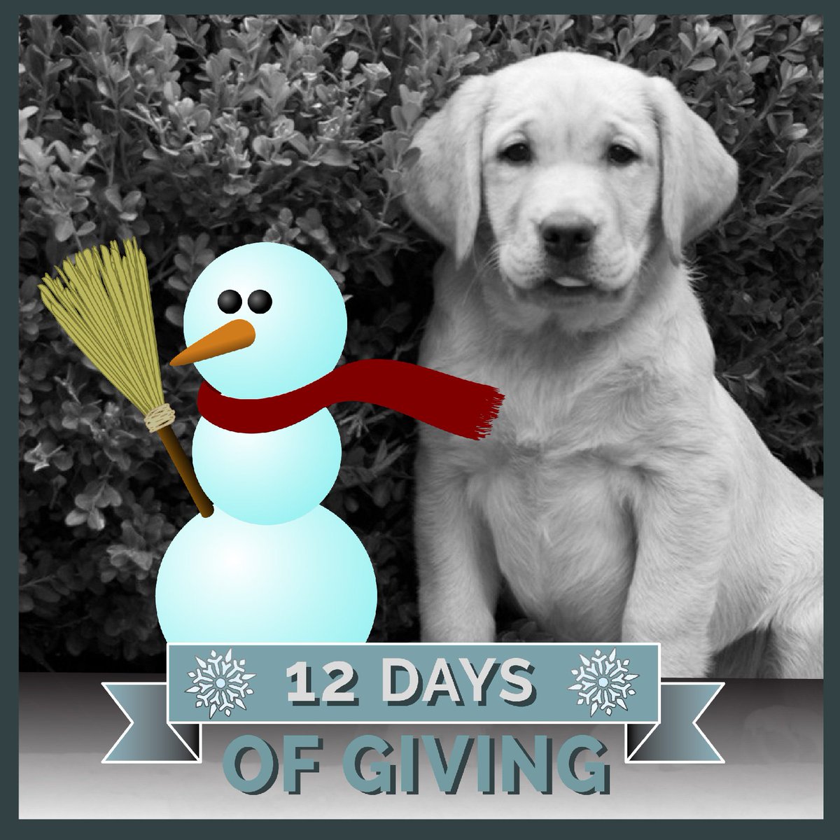 ADWSantaFe's tweet photo. BUILD a LEGACY of providing INDEPENDENCE to persons in need. Consider donating stocks or creating an estate bequest: https://t.co/3UlqcP6WUV https://t.co/8ekHci4faX