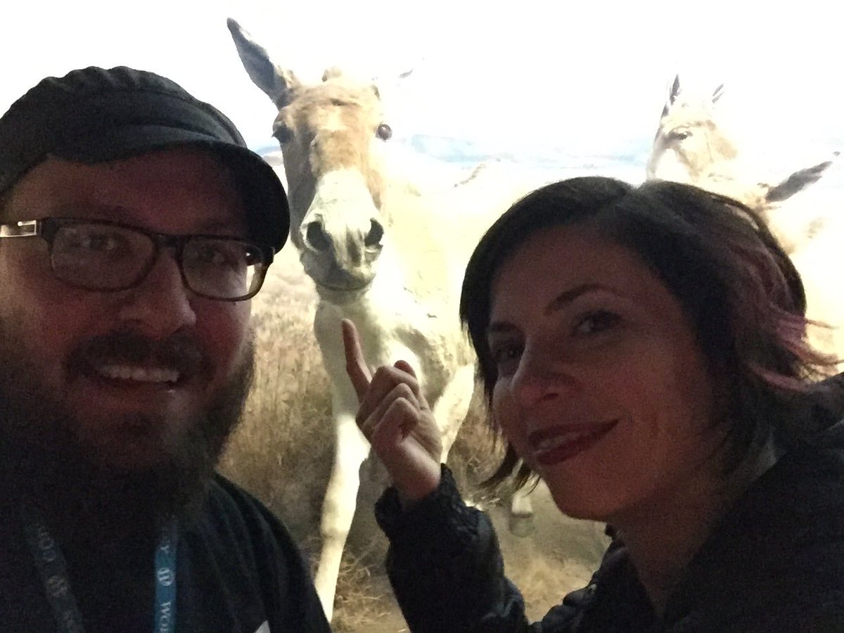 vikinova's tweet photo. Wild asses with a Tenisian wild ass :) #matthumphrey #wcus #wplife https://t.co/V2yLYax8pX