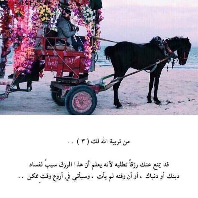 vcxzi10's tweet photo. من تربية الله لك: https://t.co/w65bsROo8f