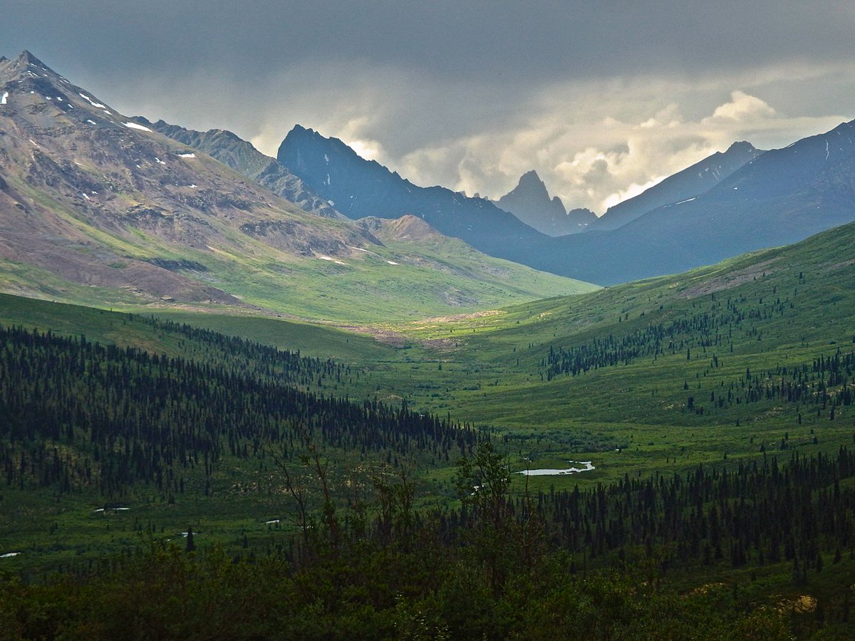 MixHart's tweet photo. Yukon Dreaming https://t.co/zYjiNS3WYf #ExploretheArctic #Yukon #TombstoneTerritorialPark https://t.co/nUupdzqRNe