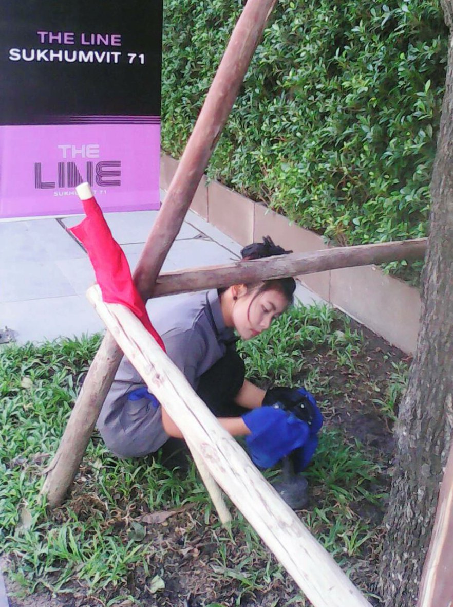 llchidchanok's tweet image. สะอาด &quot;ทุกซอกทุกมุม&quot;
#TheLineSukhumvit71 #PlusPropertyManagement