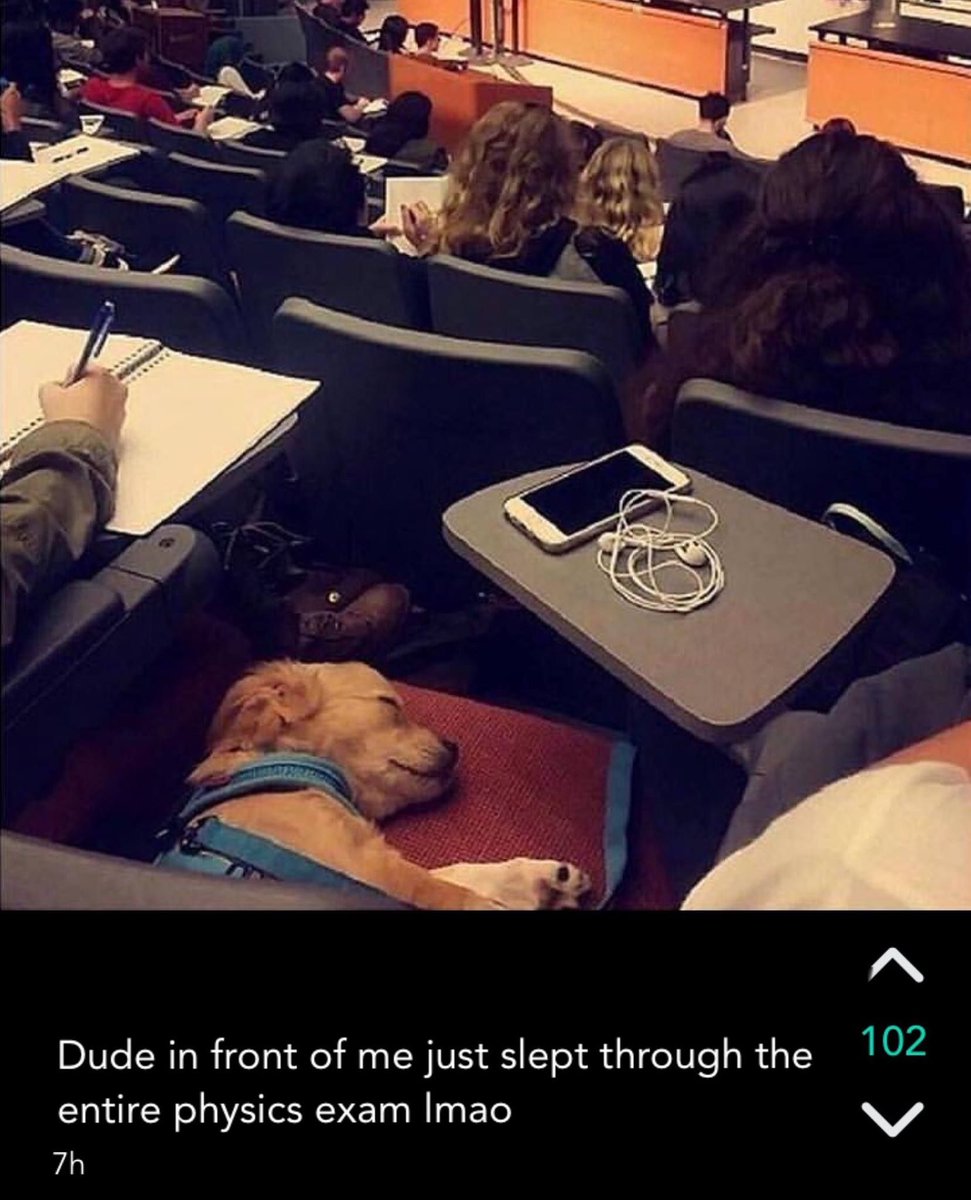 YikYakApp's tweet photo. SMH! Some of us are actually trying to learn here. What kind of life do you want to lead? How do your parents feel about this? Boy bye! https://t.co/3IM9a8ni8K