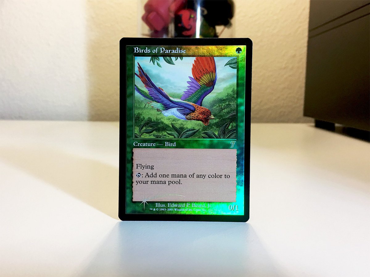 complete_mtg tweet picture