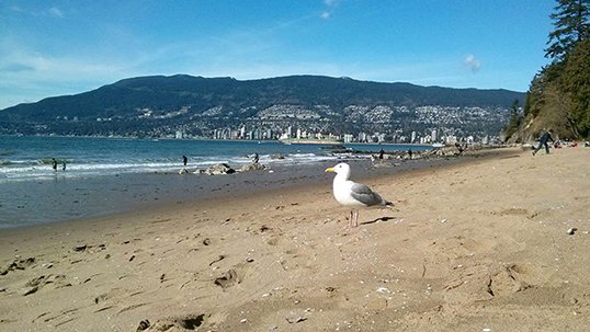 thelasource's tweet photo. FR • #Source1631 • #Verbatim • Pourquoi déménager de Québec à Vancouver ? Et pourquoi pas ? • https://t.co/TWhXApWoCP #ChezSoi https://t.co/dINQhYR7Jv