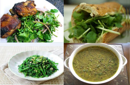 BabaqqCom's tweet photo. The Cress leafy vegetables https://t.co/gbTU2cZJvS? https://t.co/sK4oKJeWPw
