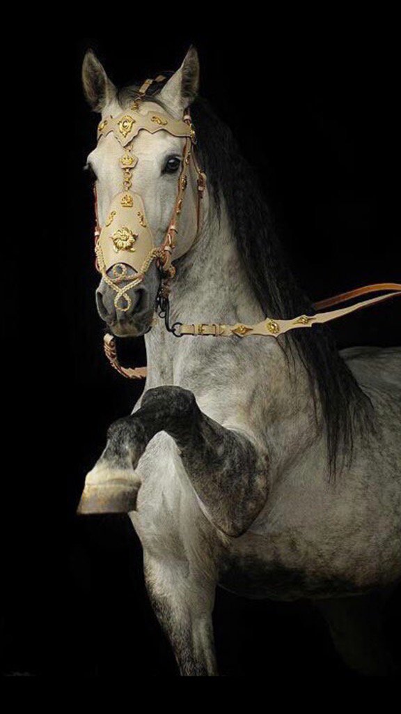 ﺃﺟﻮﺍﺀ اﻟﺼﺒﺎﺡ
ﻟﺤﻈﺎﺕ ﺭاﺋﻌة
ﺗﺮﻯ ﻓﻴها اﻟﺠﻤﺎﻝ ﺑﺸكل ﻣﺨﺘﻠﻒ
تحتاﺝ ﻣﻨﻚ ﻓﻘﻂ
صفاء ﺑﺎل ﻭﺇﺑﺘﺴﺎﻣة
وتوكل على رب العالمين
صباح🍁الخير