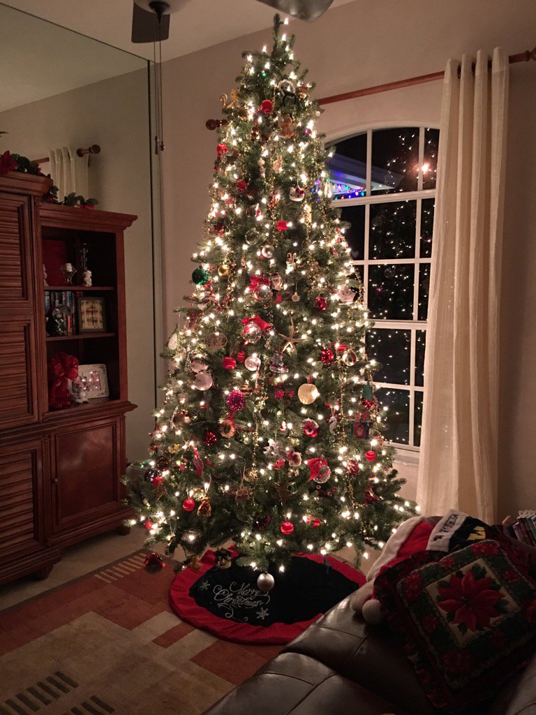 FMTalker's tweet photo. Now THIS is a tree. https://t.co/4MM6Cm5smB