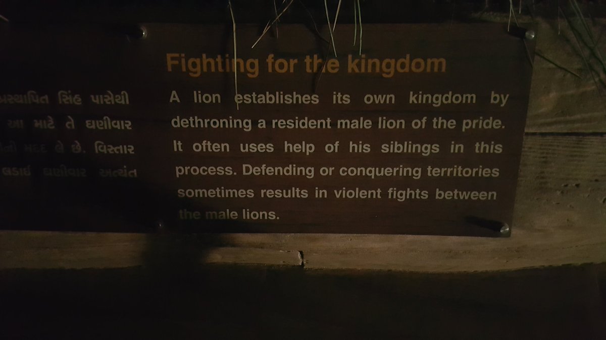 Market Leadership lesson at Gir