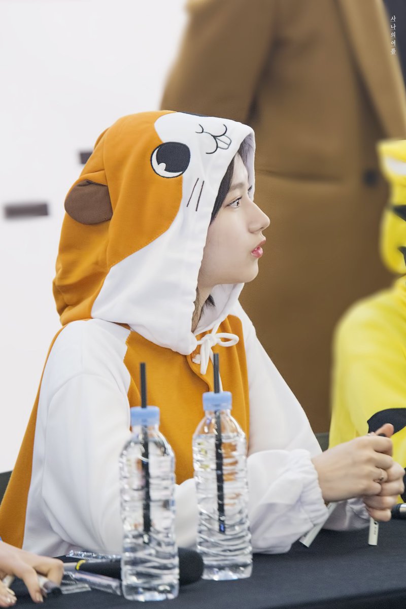 [트와이스] 어제 트둥이들이 각각 입은 동물잠옷 | 인스티즈