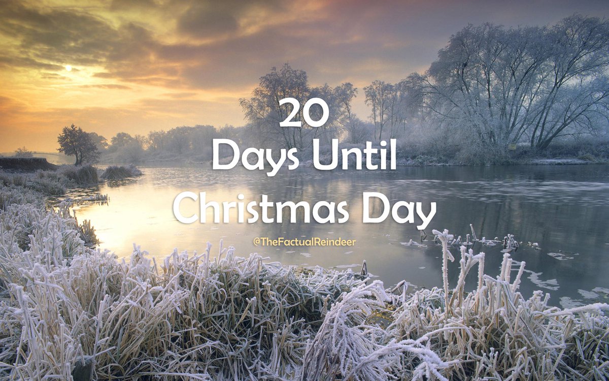 ChristmasFactsC's tweet photo. 20 days until #Christmas 

#ChristmasCountdown https://t.co/D7YkRMRLSw
