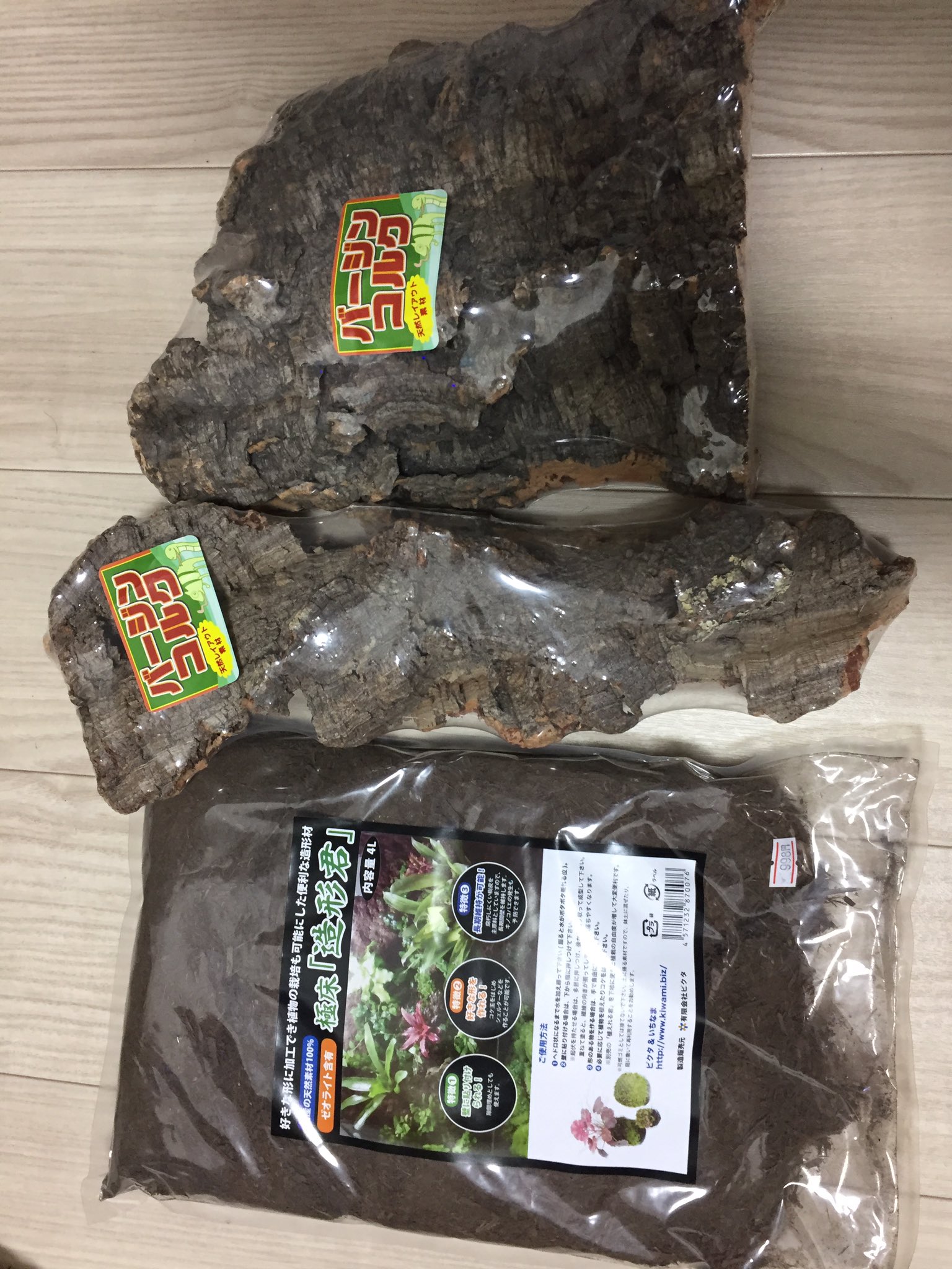 まさ そして最後にかねだいさんからコルクと造形君を買わせて頂きました ムラッシーさんお話してくださりありがとうございます 次は植物買いに行こうかなと思ってます ジャスティシアが欲しい T Co Mvgr6mxqog Twitter