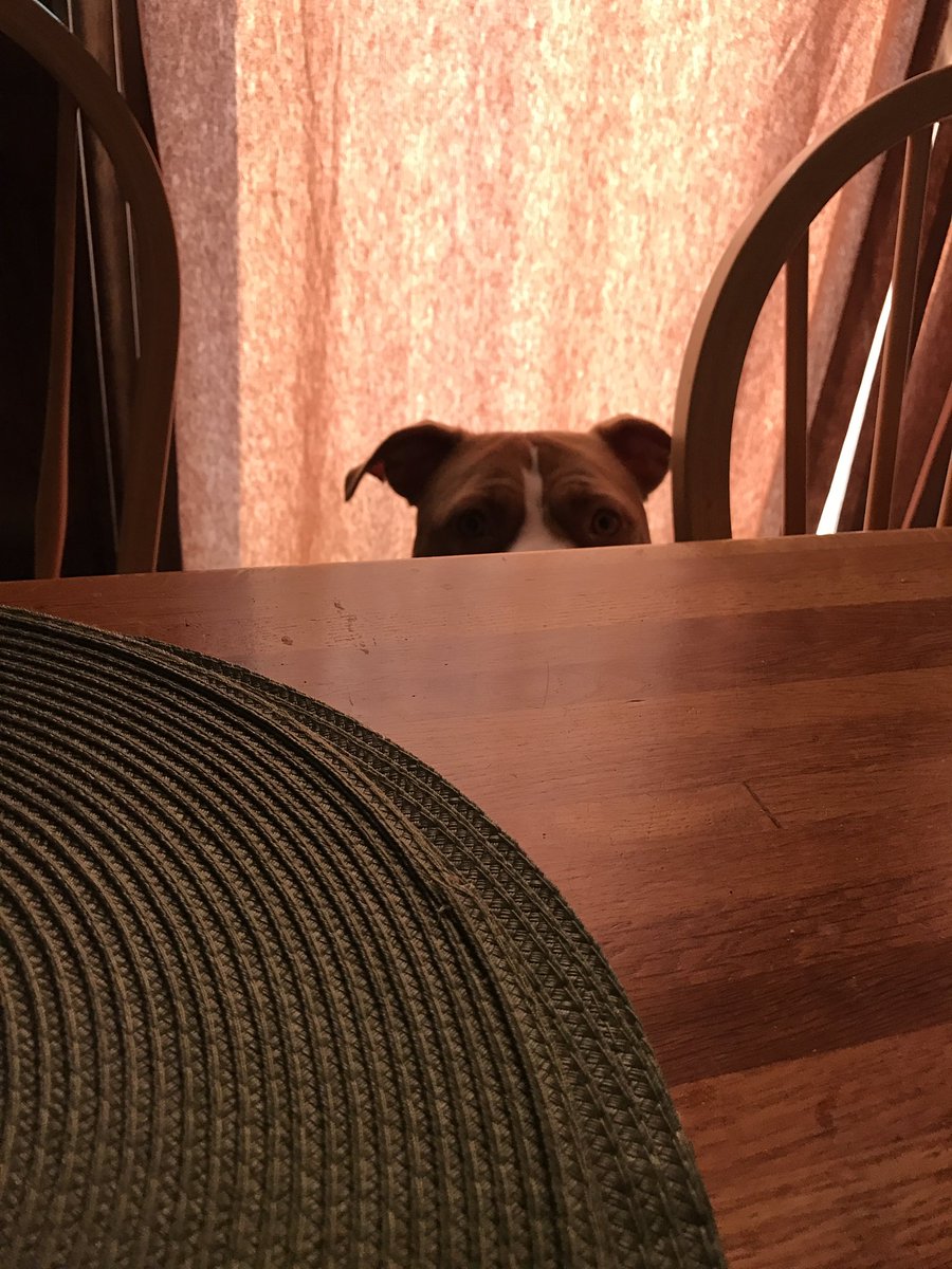 drewlivesfast's tweet photo. Checking into twitter for the first time in almost a year like: https://t.co/Cvs95z5UIm