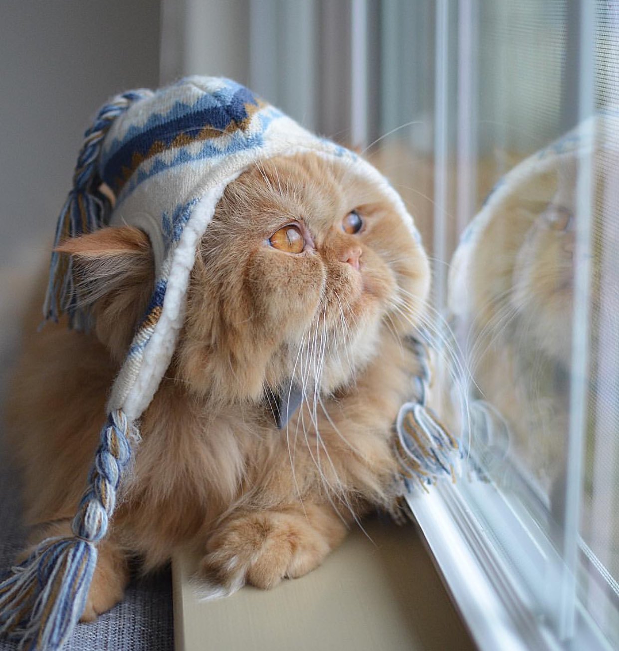 Картинки по запросу ожидание весны