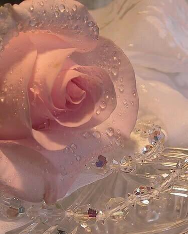 akhtarjamshed15's tweet photo. @HinaIqbaljaved @jamagedali @EmbunPa76802127 @happymoments4u @f30ea28c95a84fd @rinaelfira @PASUMNOSUNNI @Tafseer15 
@NajifSandhu https://t.co/0xA6Pu5qA2