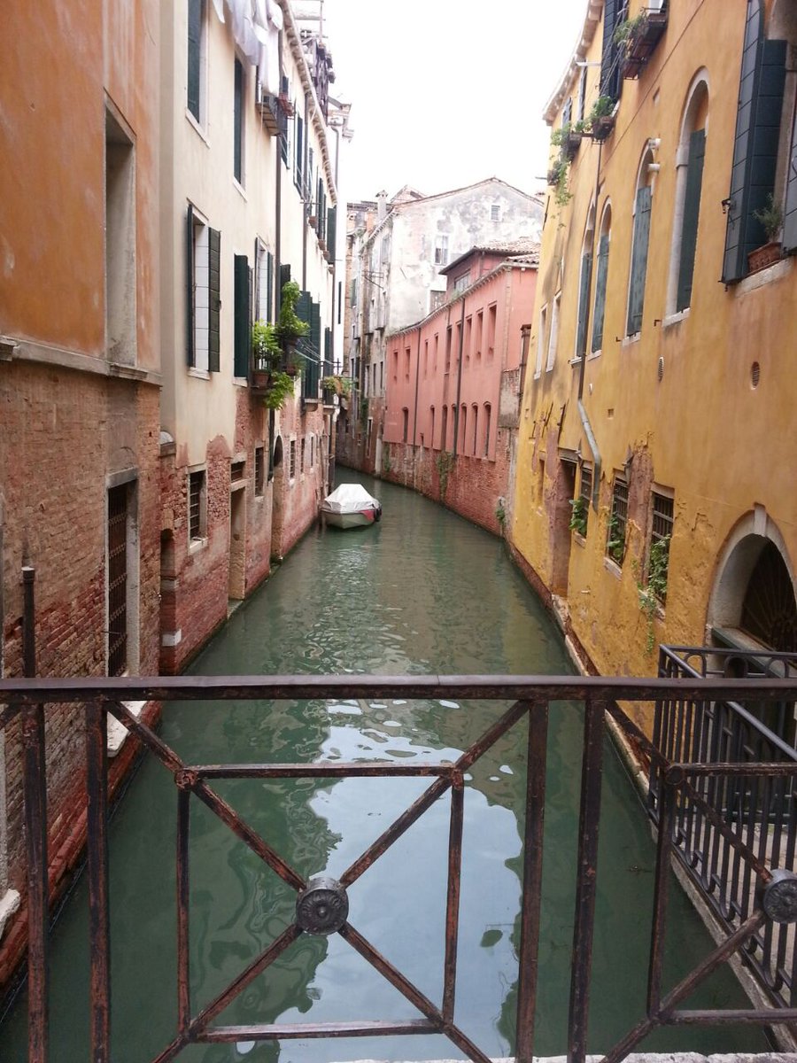 soyelmayor's tweet photo. @RestoDelMundo13 #ivanenveneto https://t.co/ic35pWhPc8