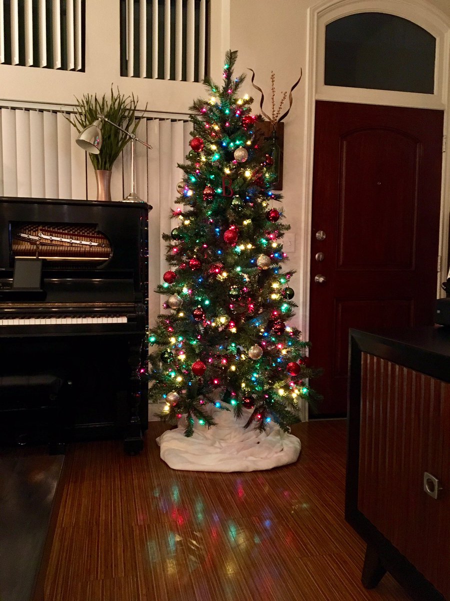 LukeBetchner's tweet image. Decided to get my own tree this year, feelin' festive. 🎄