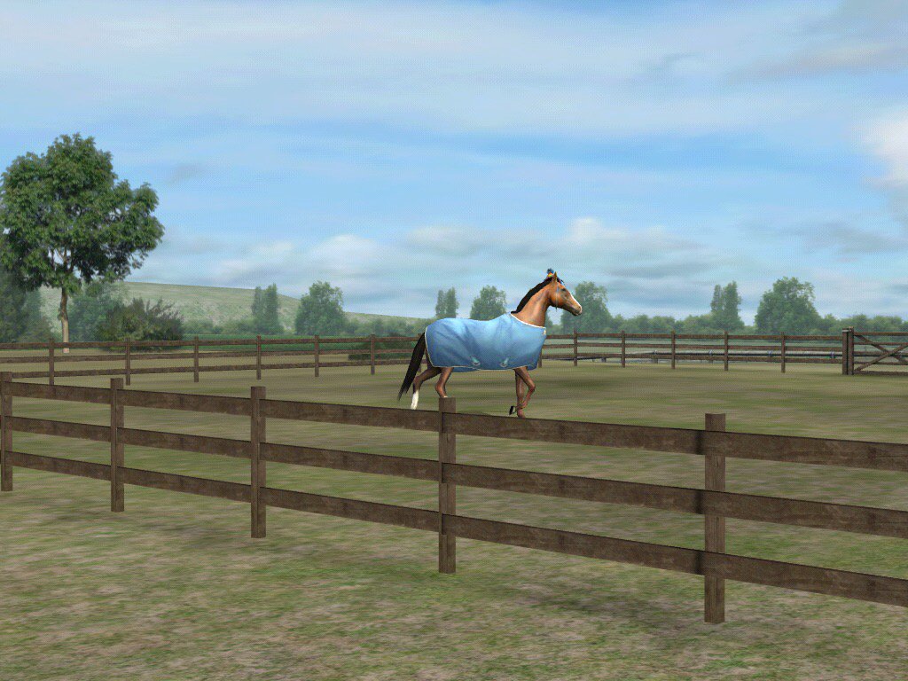 Check out my photo! Add me, BoggyMagic797. #MyHorse  nmgam.es/horse_twitter