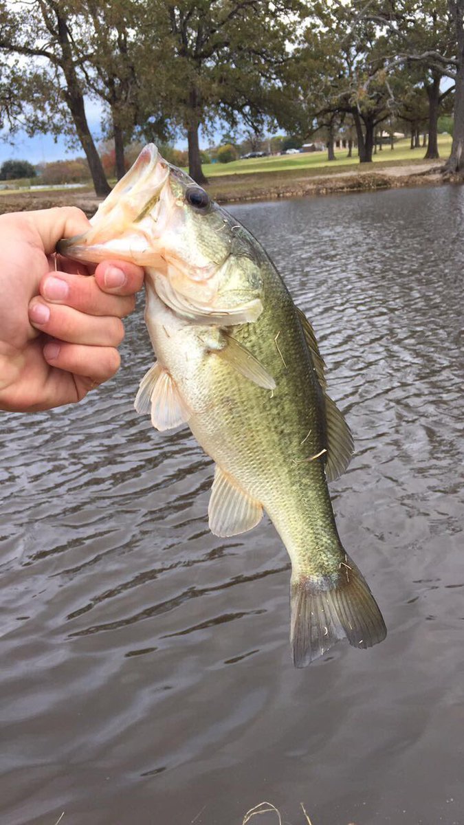 texas_angling's tweet photo. Good day for cold weather fishing https://t.co/5NAlpGnc7l