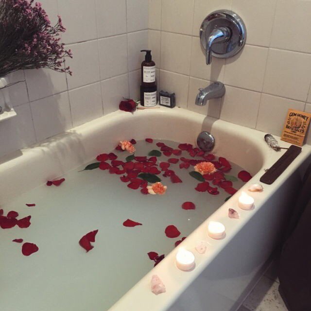 wolfyneyda's tweet photo. this is what a relaxing time looks like https://t.co/1JpSsdWzh1
