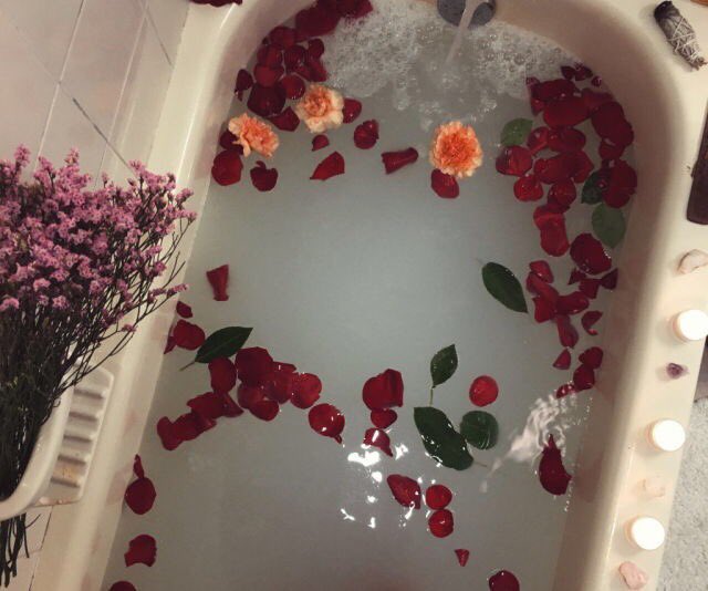 wolfyneyda's tweet photo. this is what a relaxing time looks like https://t.co/1JpSsdWzh1