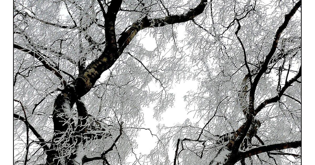 pinkweddingdays's tweet image. From the blog: 4 Quick Hits of Winter Wedding Decor buff.ly/2gpqmLN