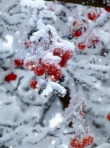 Всем доброго дня!