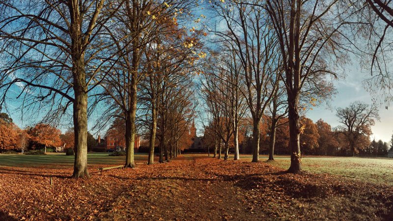 tracksmith's tweet photo. The formative miles of #hometownrunning stay with you, long after you move away https://t.co/TNlEX1ZmxN https://t.co/ZmK2Cd8I6a