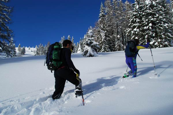 faberest_it's tweet photo. Voglia di un weekend sulle #Dolomiti con #ciaspolata e #aperitivo della tradizione? A #gennaio2017 sarà tutto tuo: https://t.co/4Sz99xaE8W https://t.co/oaEO16C7kP