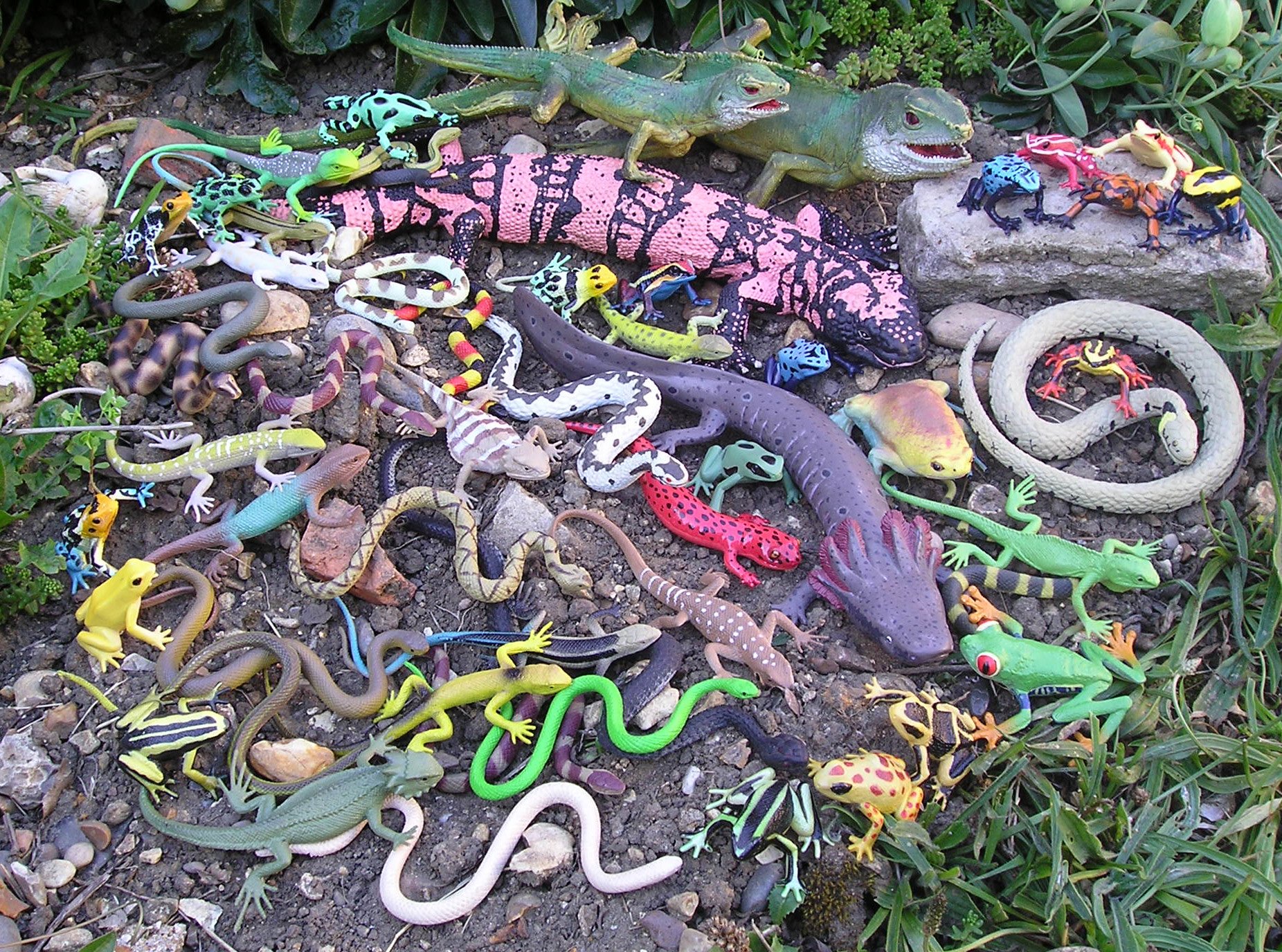 toy lizards and snakes