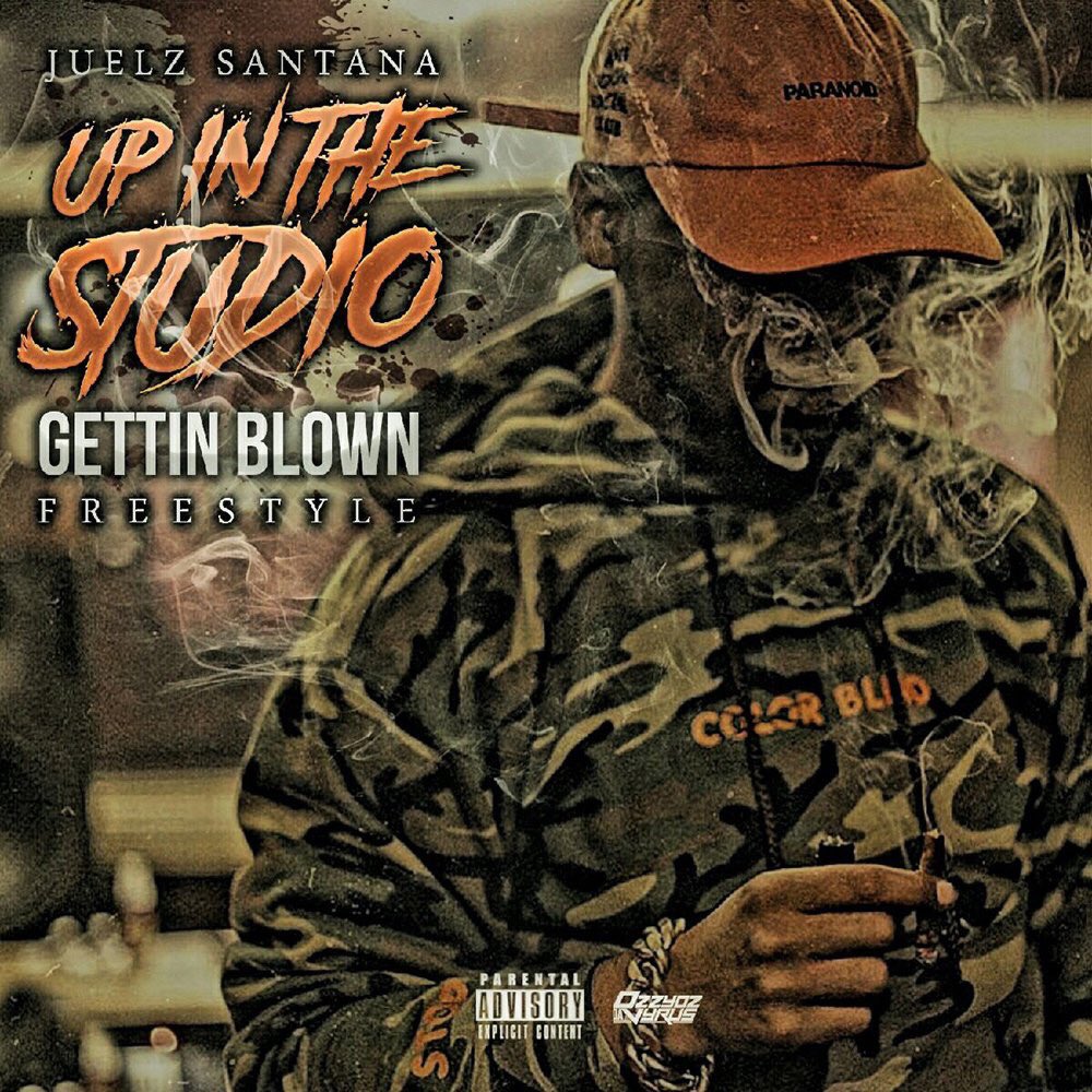 Wyld Bytch Crew tweet media