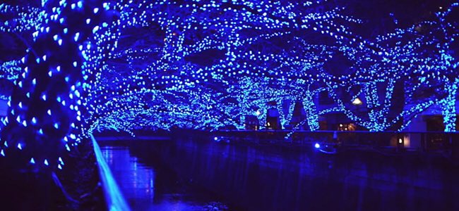 riuko_Rlabo's tweet photo. 週末は東京出張♫
「青の洞窟イルミネーション」
を見に行っちゃお♫ https://t.co/RYxHUjm0aN