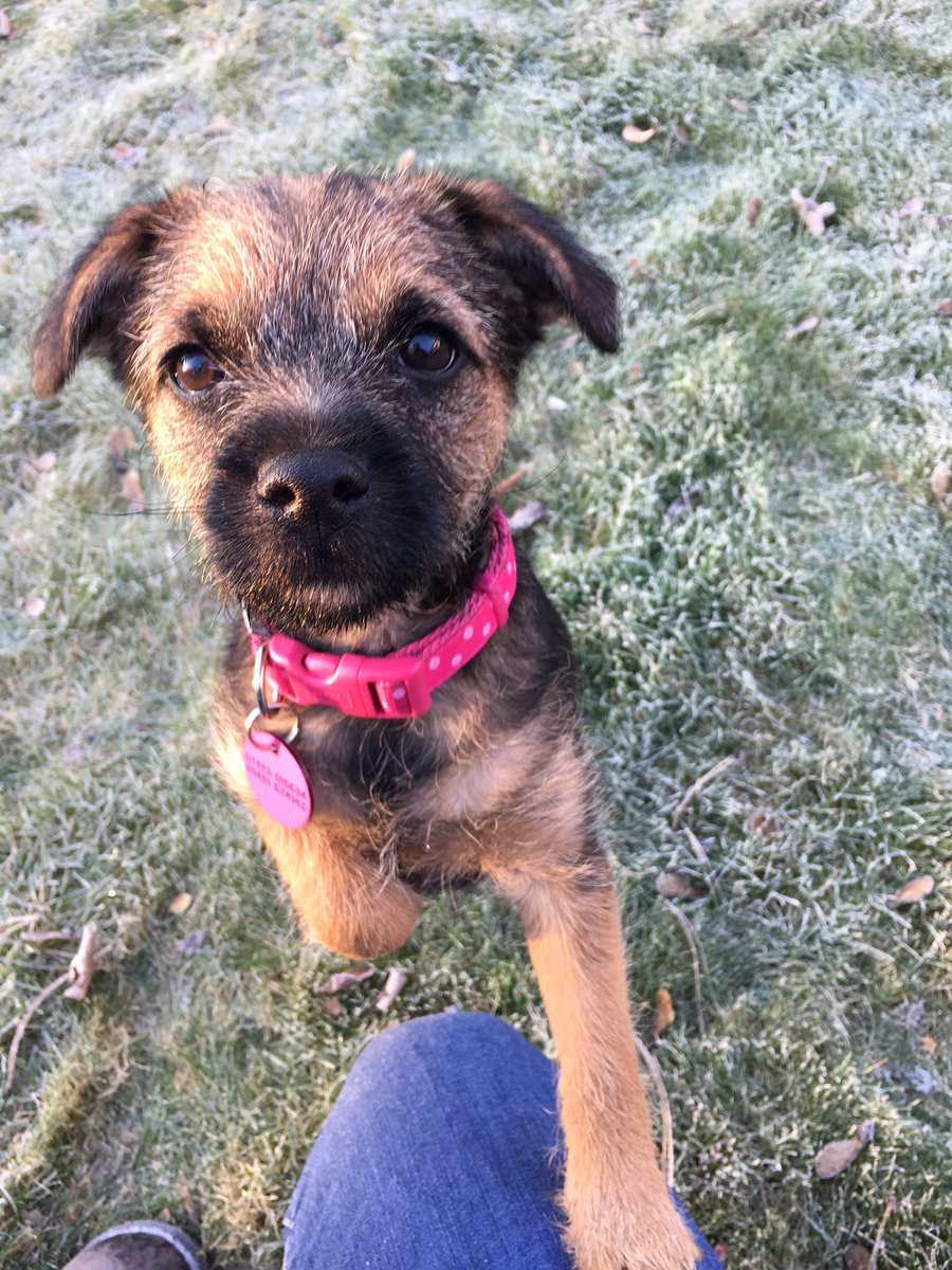 Barnetta_BT's tweet image. Morning 💕💞💕