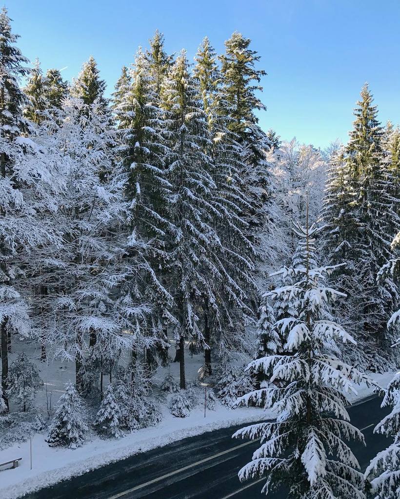 HUNDERTMARK tweet media