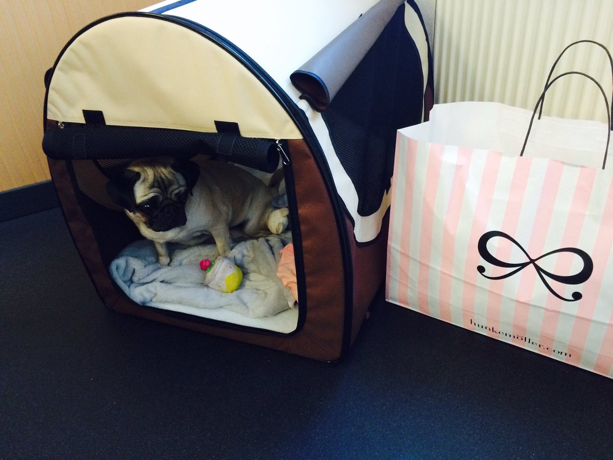 StenneiJennifer's tweet photo. First day in the office #mopspower https://t.co/ZBsVSPHOXj