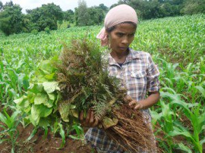 “Scientists without borders”: ICRAF’s DG, Prof. Tony Simons on <a href="/CGIAR/">CGIAR</a> Forests, Trees Agroforestry bit.ly/2h4AdUc