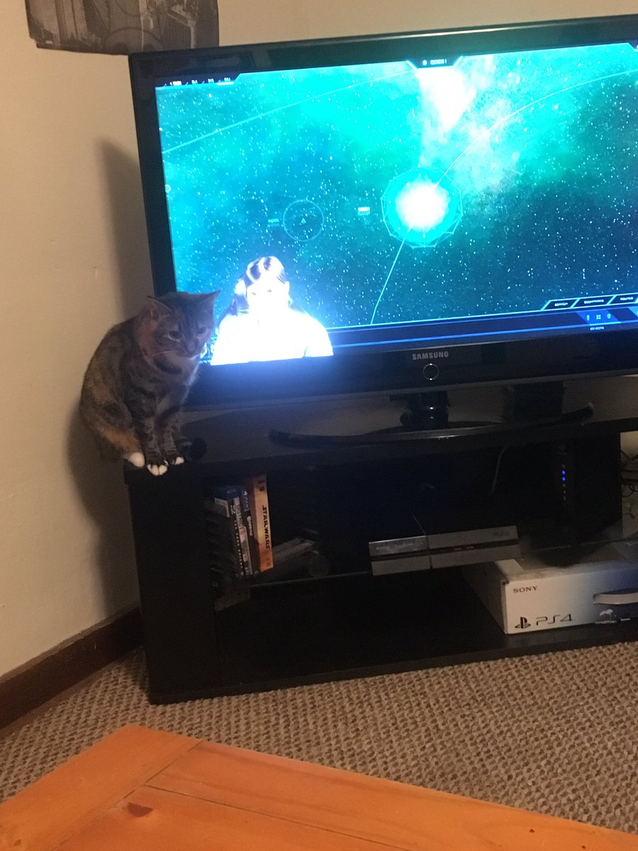 RED5_STANDBY's tweet photo. @RobertsSpaceInd your new host.... she hasn't moved in 5 videos. https://t.co/65qNw4vzXB