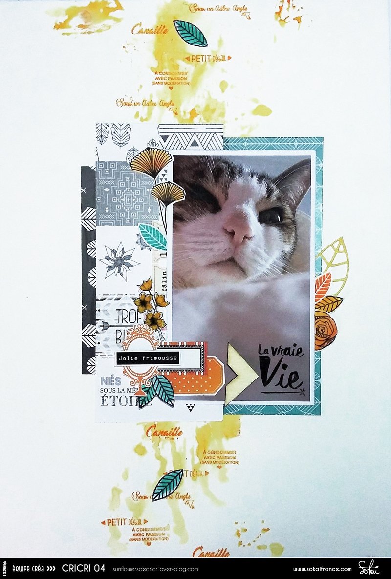 SokaiFrance's tweet image. Jolie #page #scrapbooking #chat #DIY #SokaiFrance #papiers On adore &amp;lt;3 ow.ly/ukIo306B82d