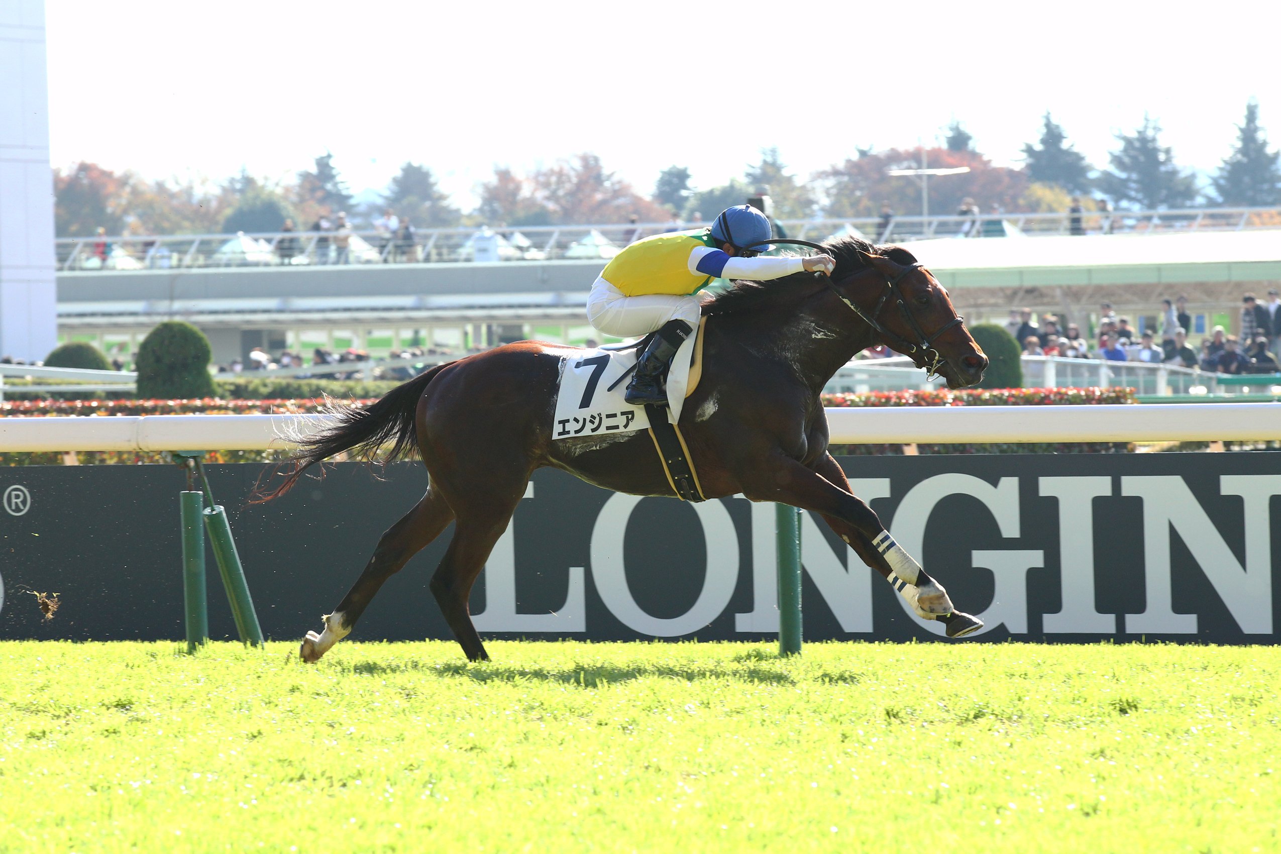 تويتر Jra Fun على تويتر エンジニア という競走馬がいる 去年デビューした3歳馬 足の速いエンジニア かっこいいな うまび 変わった馬の名前 T Co Uupe2cknz9