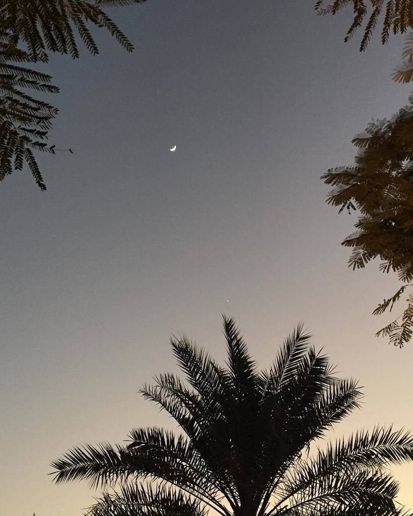 TotalSalads's tweet photo. So so foggy this morning in Dubai, but last night it was crystal clear. A beautiful crescent moon 🌙 and a tiny star… https://t.co/tqzvtCn5Qh