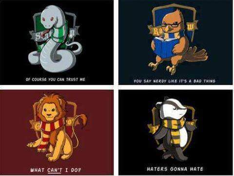 "Haters gonna hate—" snickers.