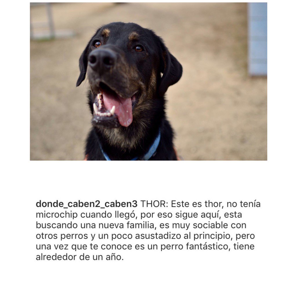 Donde_cb2_cb3's tweet photo. THOR https://t.co/psgrSy5VG2