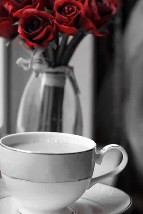 صباحكم خير ورضى وفرح
توكلوا على آلله في الدرب  . . ف إنه 
خير معين🙌🏻 

#صباح_السعاده💞🌹