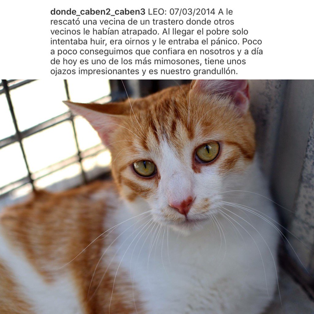 Donde_cb2_cb3's tweet photo. LEO https://t.co/JQx9nOqKlW